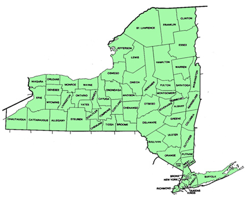 Municipal, Tax and State Level Research
